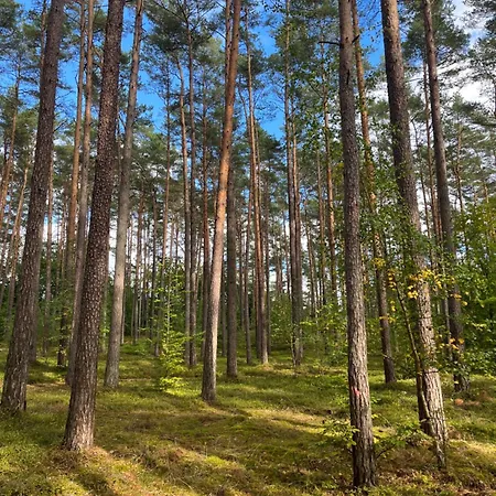 Haus 2 Am Grimnitzsee - Hochwertiges Design, Mit Eigenem Garten Und Nah Am ヨーアヒムスタール