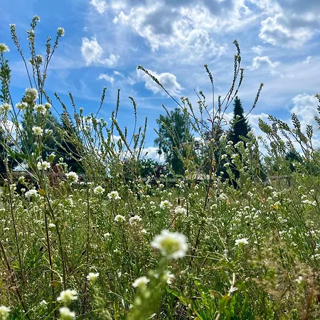 Vakantiehuis Haus 2 Am Grimnitzsee - Hochwertiges Design, Mit Eigenem Garten Und Nah Am