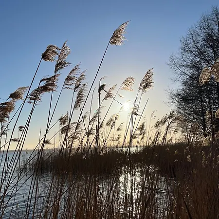 Vakantiehuis Haus 2 Am Grimnitzsee - Hochwertiges Design, Mit Eigenem Garten Und Nah Am Joachimsthal
