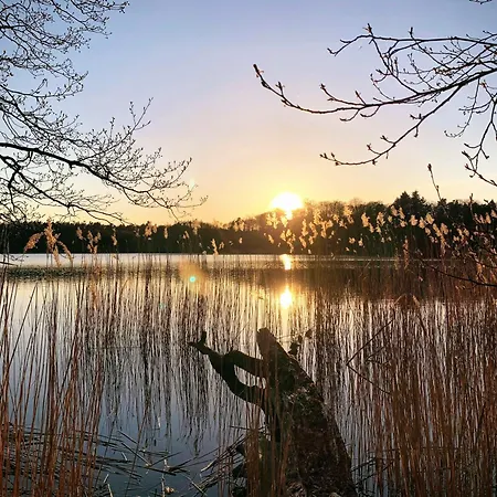 別荘 Haus 2 Am Grimnitzsee - Hochwertiges Design, Mit Eigenem Garten Und Nah Am