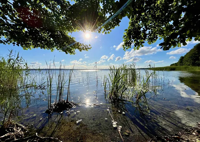 度假居 Haus 2 Am Grimnitzsee - Hochwertiges Design, Mit Eigenem Garten Und Nah Am *