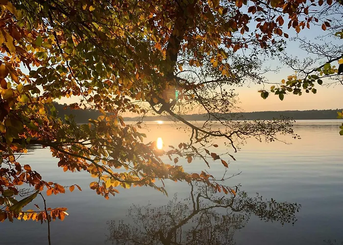 Haus 2 Am Grimnitzsee - Hochwertiges Design, Mit Eigenem Garten Und Nah Am Joachimsthal