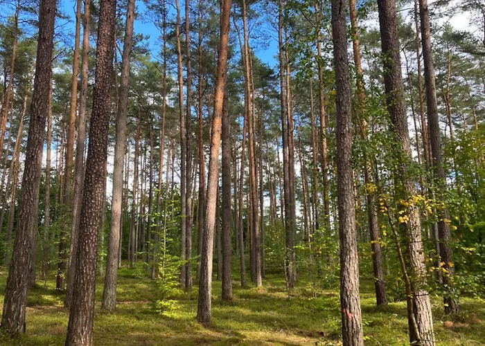 Haus 2 Am Grimnitzsee - Hochwertiges Design, Mit Eigenem Garten Und Nah Am 希姆斯塔尔