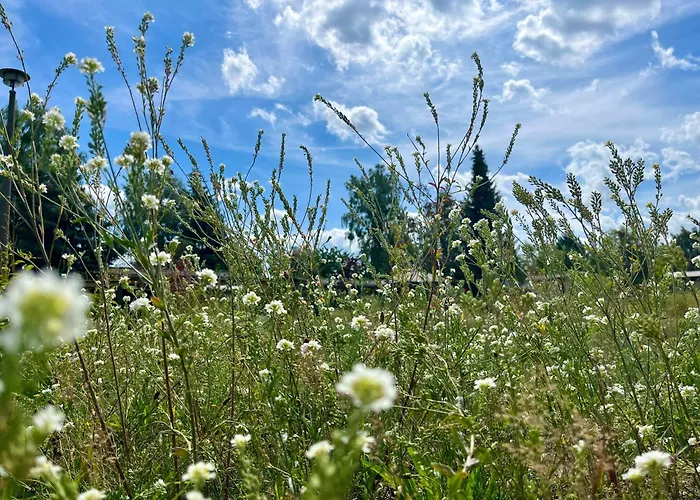 度假居 Haus 2 Am Grimnitzsee - Hochwertiges Design, Mit Eigenem Garten Und Nah Am