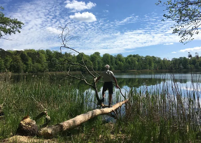 Haus 2 Am Grimnitzsee - Hochwertiges Design, Mit Eigenem Garten Und Nah Am 度假居 希姆斯塔尔