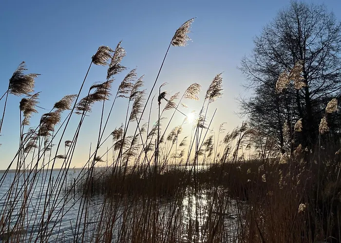 度假居 Haus 2 Am Grimnitzsee - Hochwertiges Design, Mit Eigenem Garten Und Nah Am 希姆斯塔尔