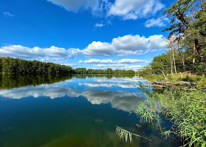度假居 Haus 2 Am Grimnitzsee - Hochwertiges Design, Mit Eigenem Garten Und Nah Am *