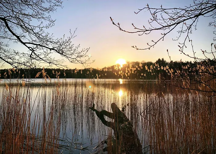 度假居 Haus 2 Am Grimnitzsee - Hochwertiges Design, Mit Eigenem Garten Und Nah Am